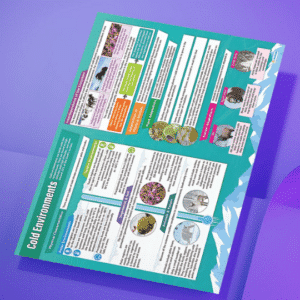 "Cold Environments" - Geography instructional flex banner