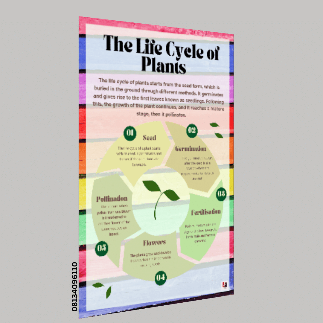 "The life cycle of plants"- -Classroom Instructional Posters