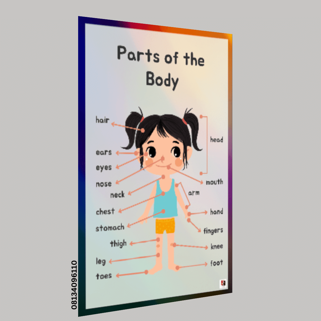 "Parts of the Body"- -Classroom Instructional Posters