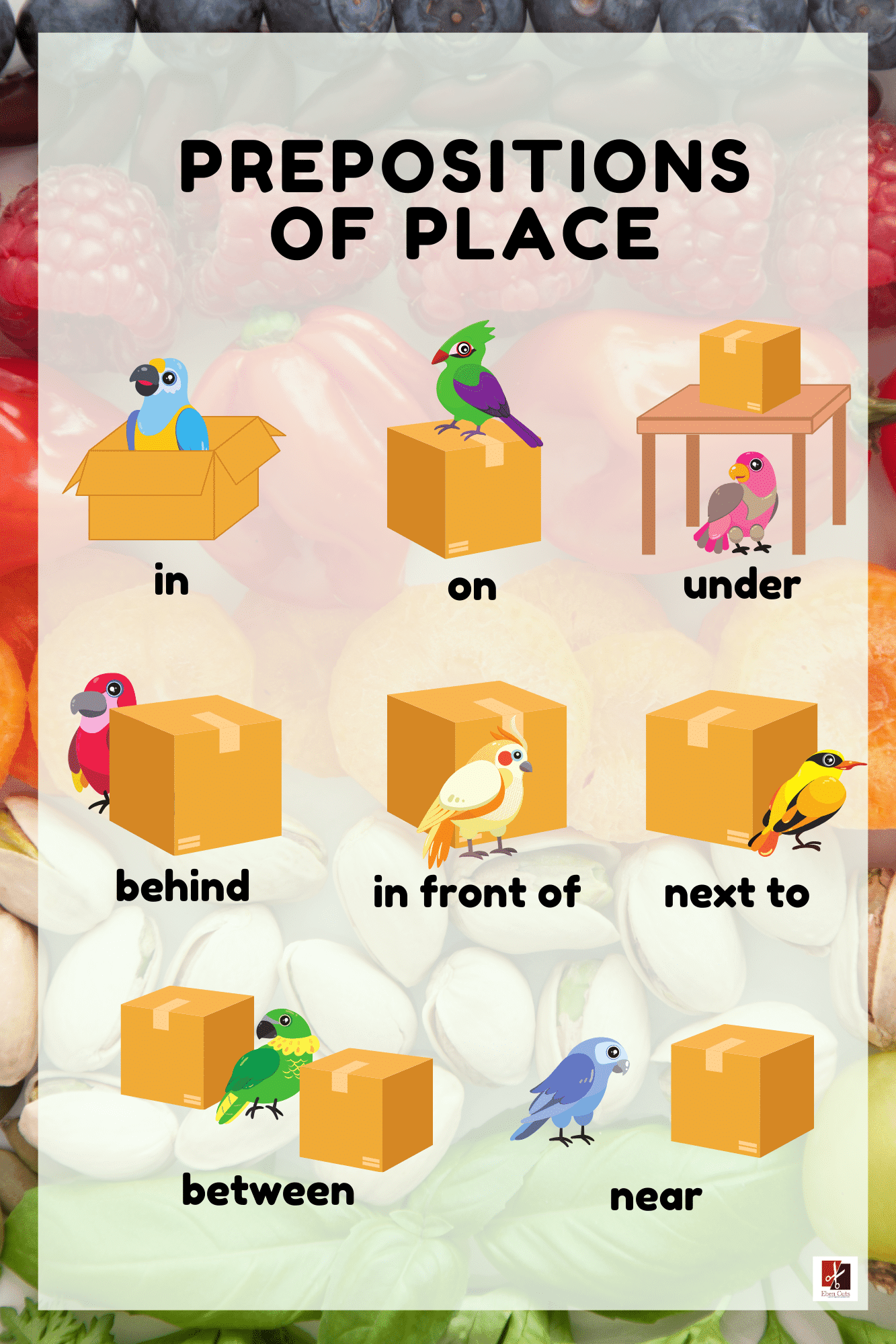 "Prepositions Of Place"-Classroom Instructional Posters