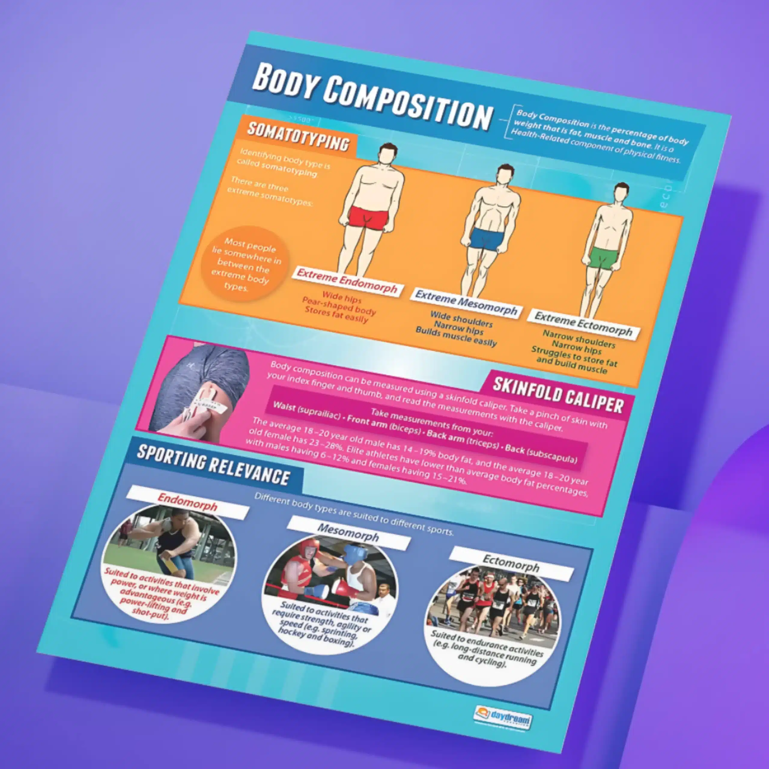 "Body composition" - PHE instructional flex banner