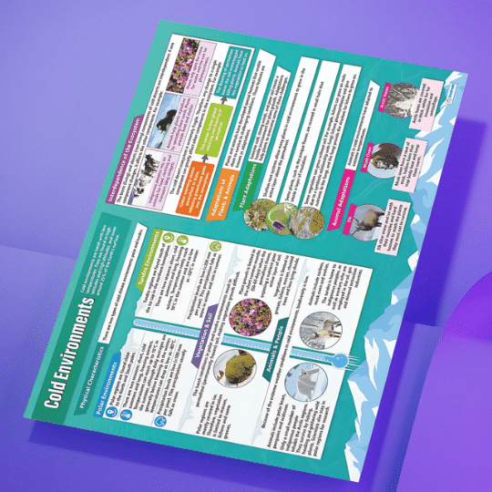 "Cold Environments" - Geography instructional flex banner