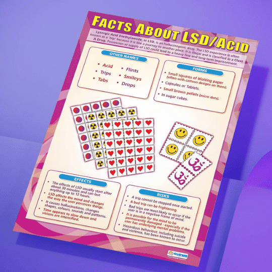 "Facts about LSD/ACID" - PHSE instuctional flex banner