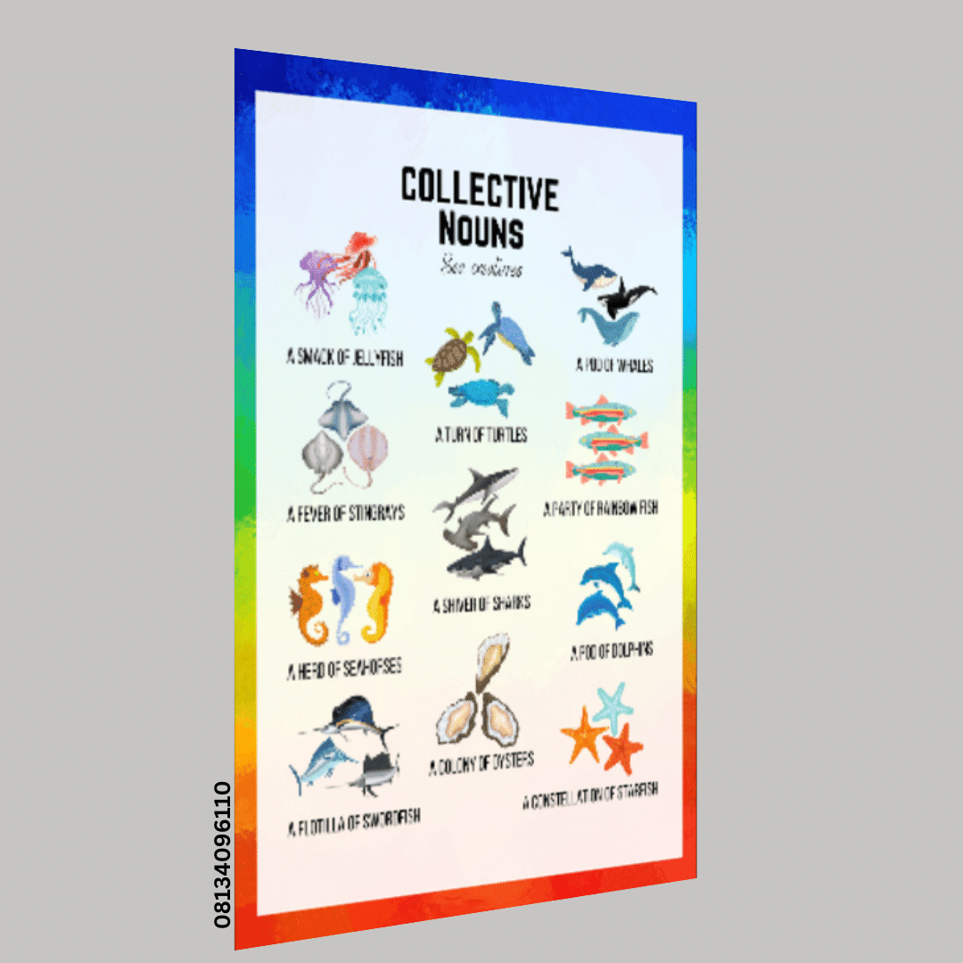 "Collective Nouns"- -Classroom Instructional Posters