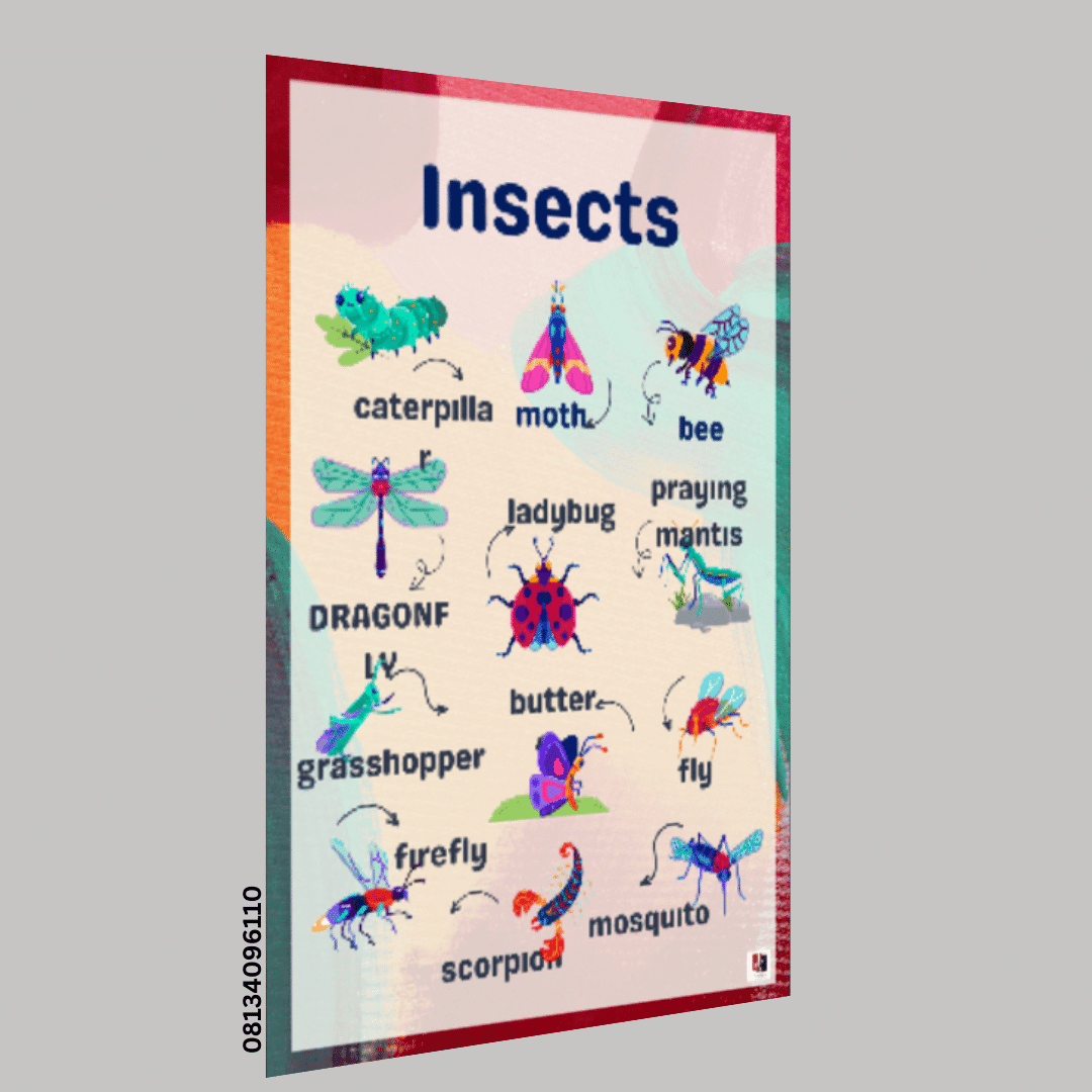 "Insects"- -Classroom Instructional Posters